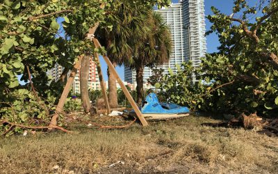 Post Hurricane Irma Schedule